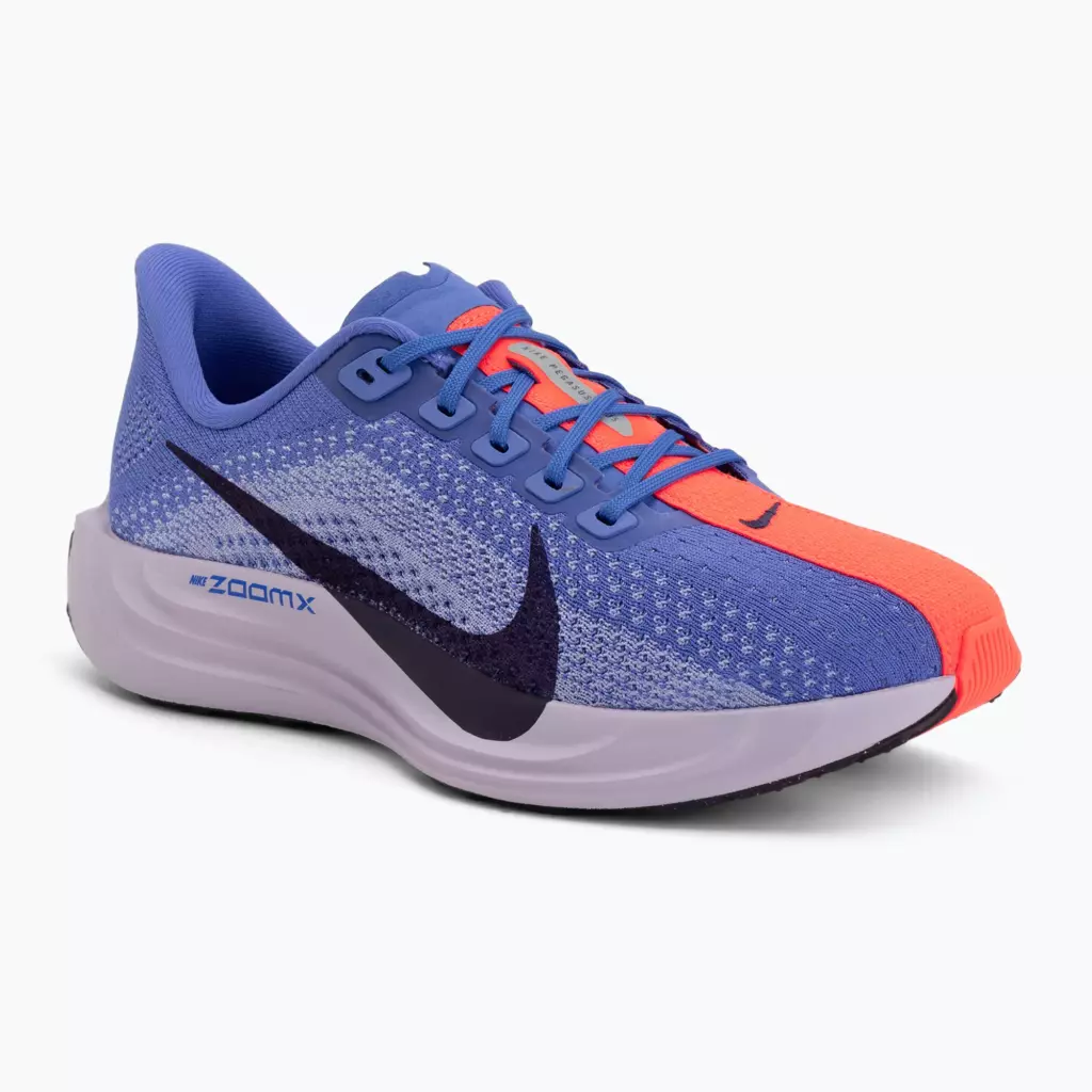 Женские Кроссовки для бега Nike Pegasus Plus sapphire/light thistle/purple dynasty