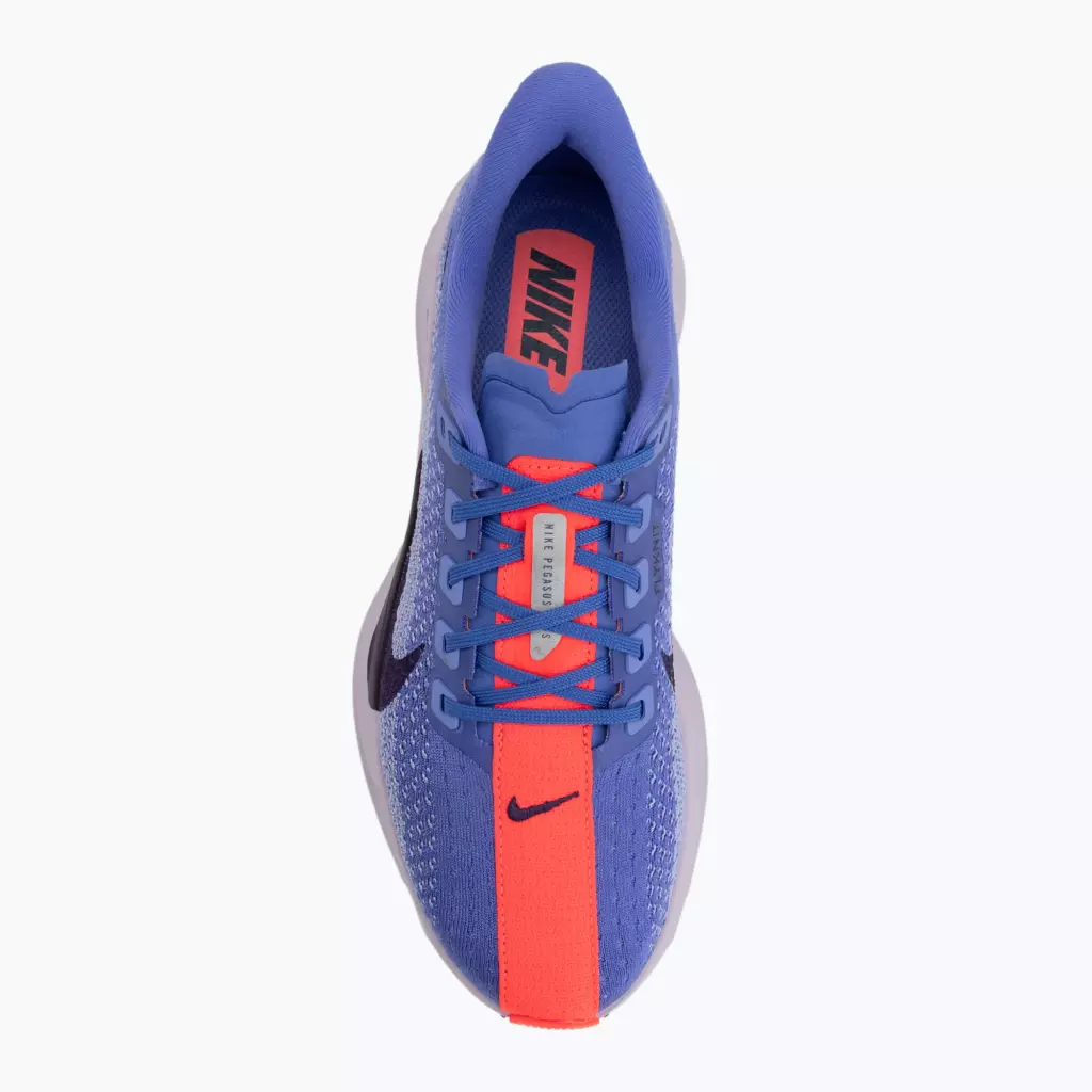 Женские Кроссовки для бега Nike Pegasus Plus sapphire/light thistle/purple dynasty