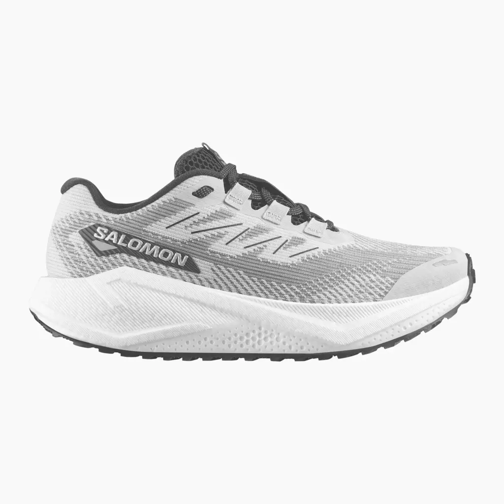 Кроссовки для бега Salomon Aero Blaze 3 Gravel lunar rock/white/black