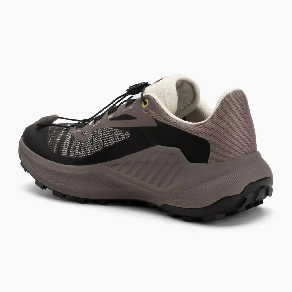 Женские Кроссовки для бега Salomon Genesis Iron/vanilla ice/cyclamen