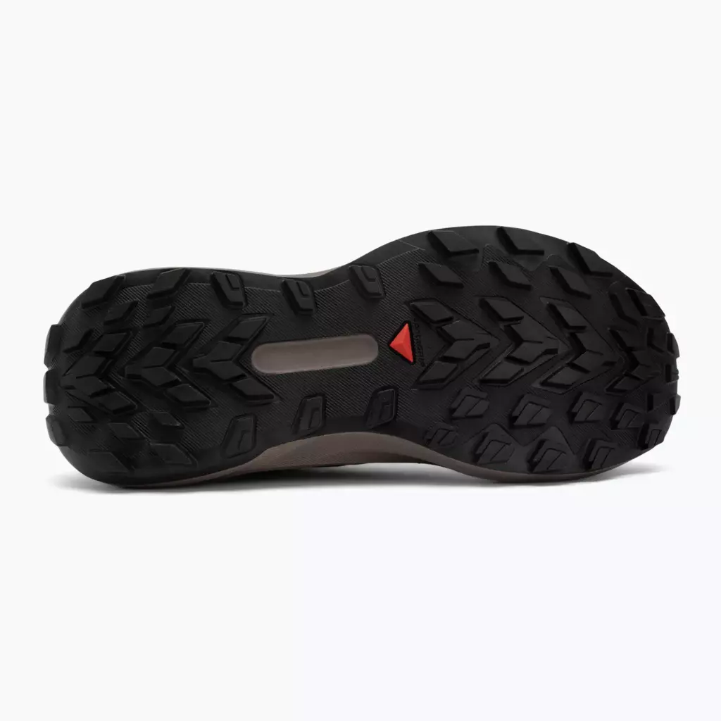 Женские Кроссовки для бега Salomon Genesis Iron/vanilla ice/cyclamen