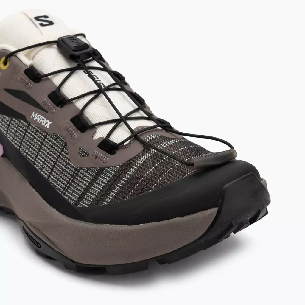 Женские Кроссовки для бега Salomon Genesis Iron/vanilla ice/cyclamen