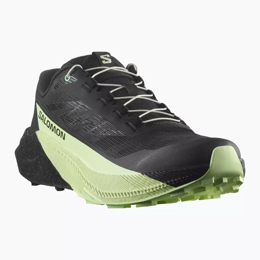 Кроссовки для бега Salomon Pulsar black/black/patina green