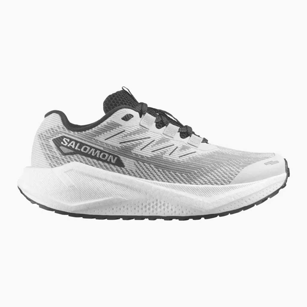 Женские Кроссовки для бега Salomon Aero Blaze 3 GRVL lunar