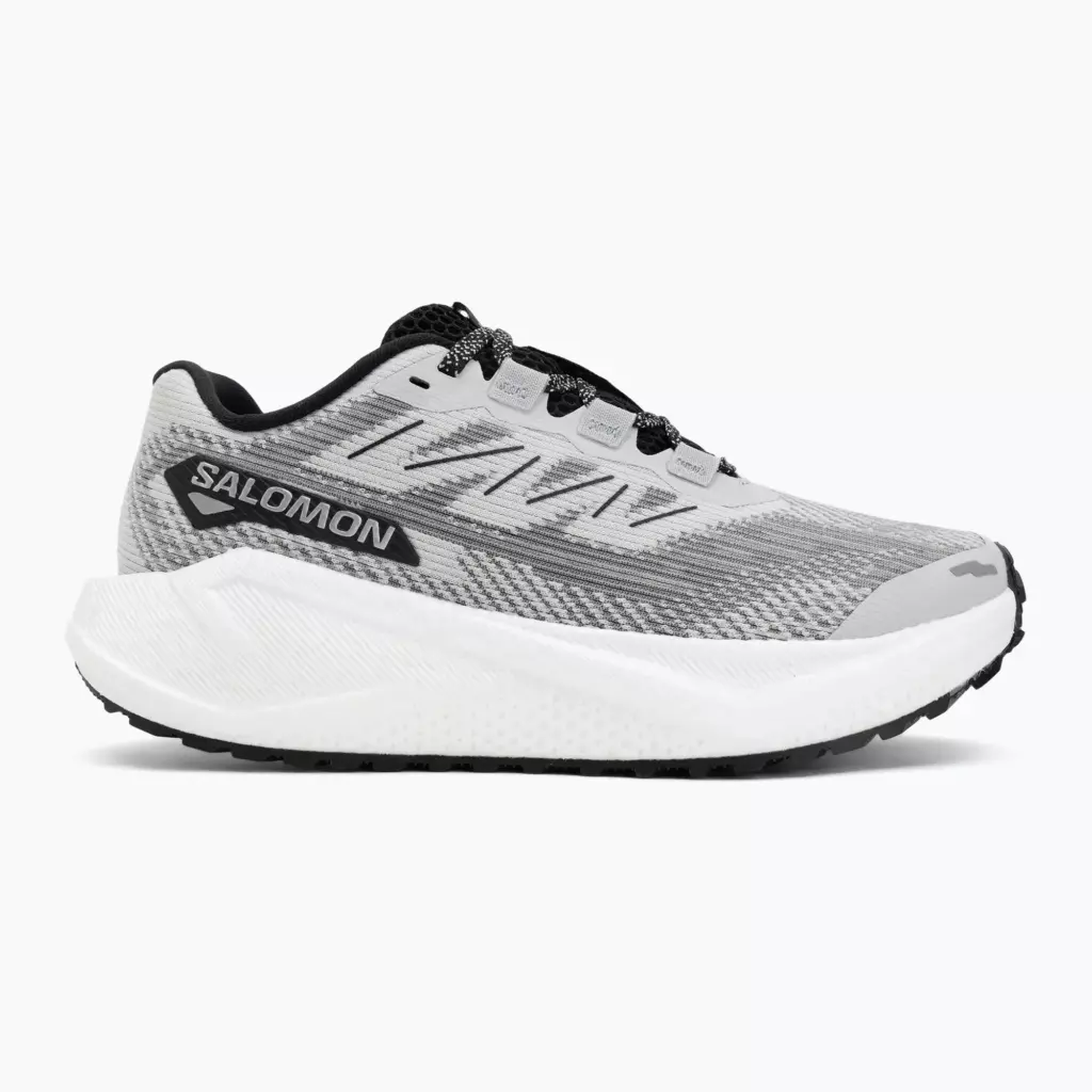 Женские Кроссовки для бега Salomon Aero Blaze 3 GRVL lunar