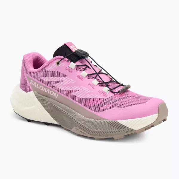 Женские Кроссовки для бега Salomon Pulsar cyclamen/vanilla ice/etherea