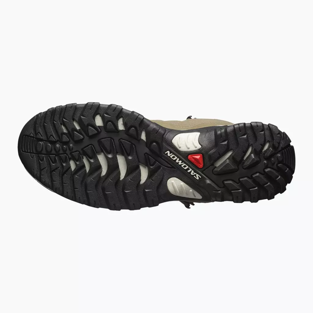 Ботинки Salomon Salomon Shelter WP stone gray/black/rainy day