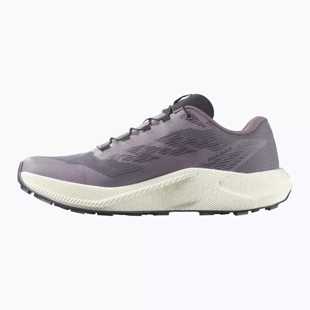 Женские Кроссовки для бега Salomon Pulsar excalibur/vanilla ice/nine iron