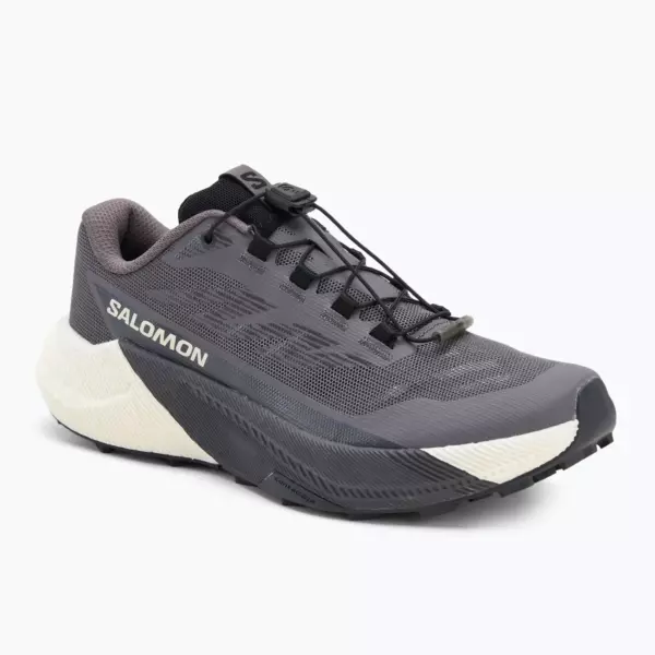 Женские Кроссовки для бега Salomon Pulsar excalibur/vanilla ice/nine iron