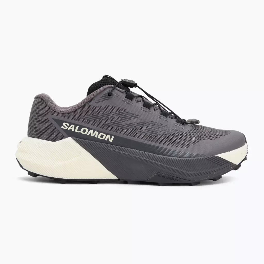Женские Кроссовки для бега Salomon Pulsar excalibur/vanilla ice/nine iron