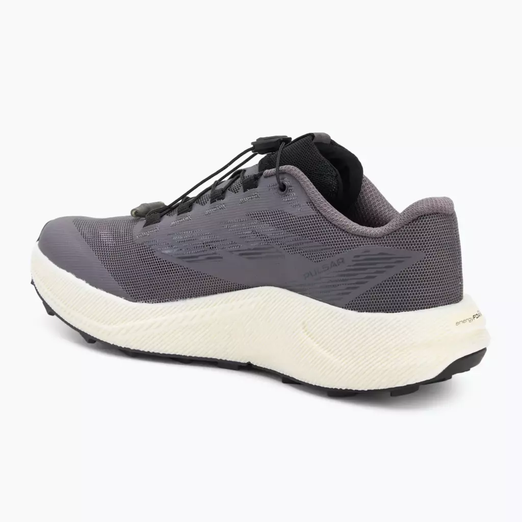 Женские Кроссовки для бега Salomon Pulsar excalibur/vanilla ice/nine iron