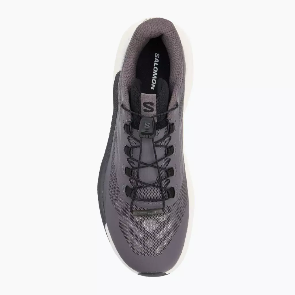 Женские Кроссовки для бега Salomon Pulsar excalibur/vanilla ice/nine iron