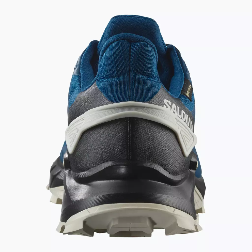Кроссовки для бега Salomon Alphaglide GTX black/asphalt/black
