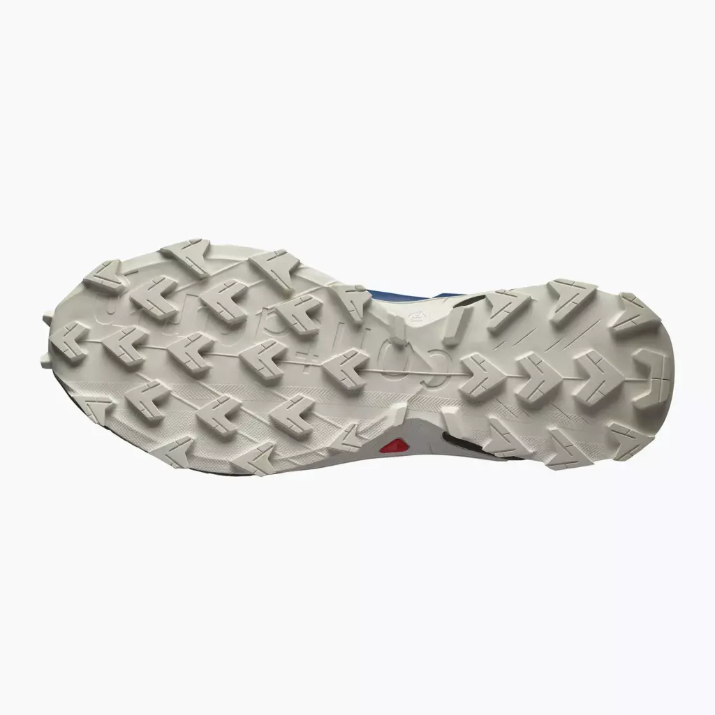 Кроссовки для бега Salomon Alphaglide GTX black/asphalt/black