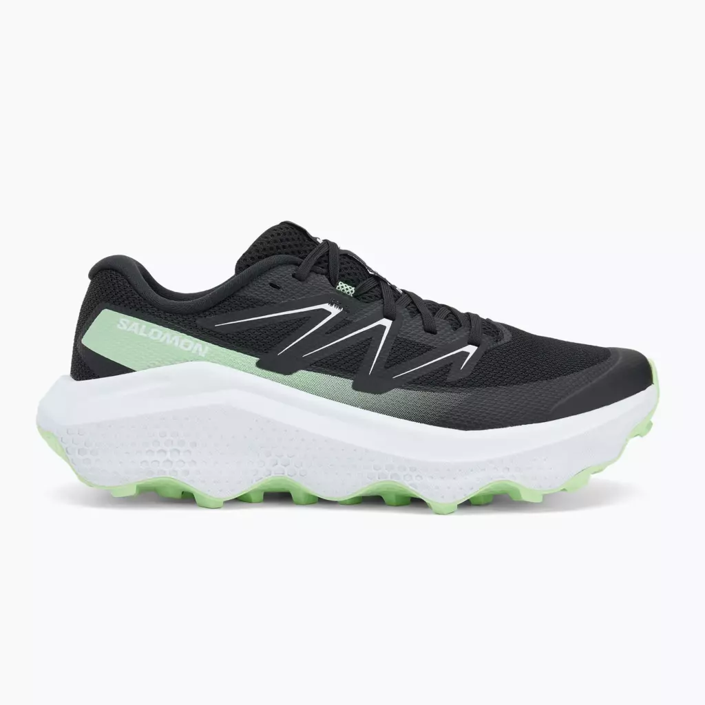 Кроссовки для бега Salomon Ultra Flow 2 black/white/patina green