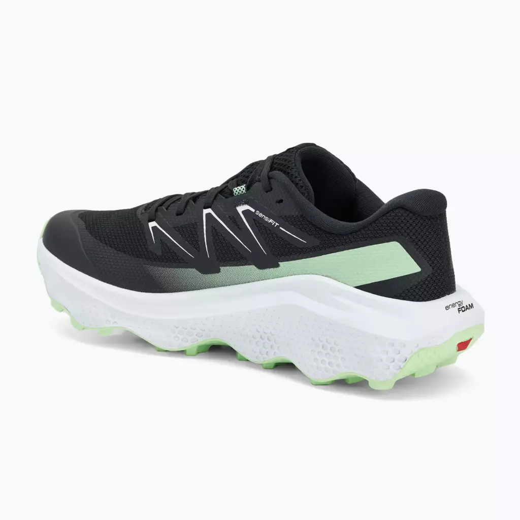 Кроссовки для бега Salomon Ultra Flow 2 black/white/patina green
