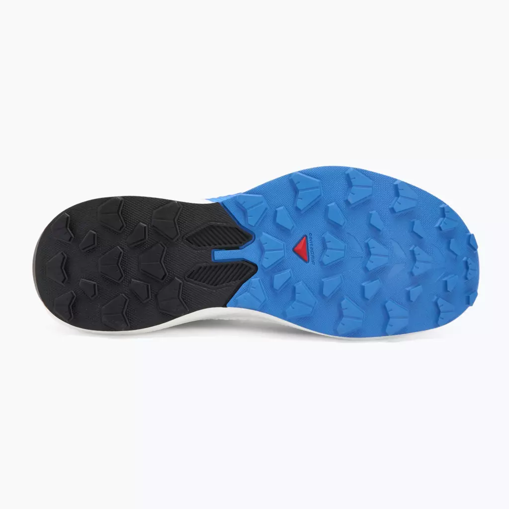 Кроссовки для бега Salomon Pulsar lunar rock/white/french blue