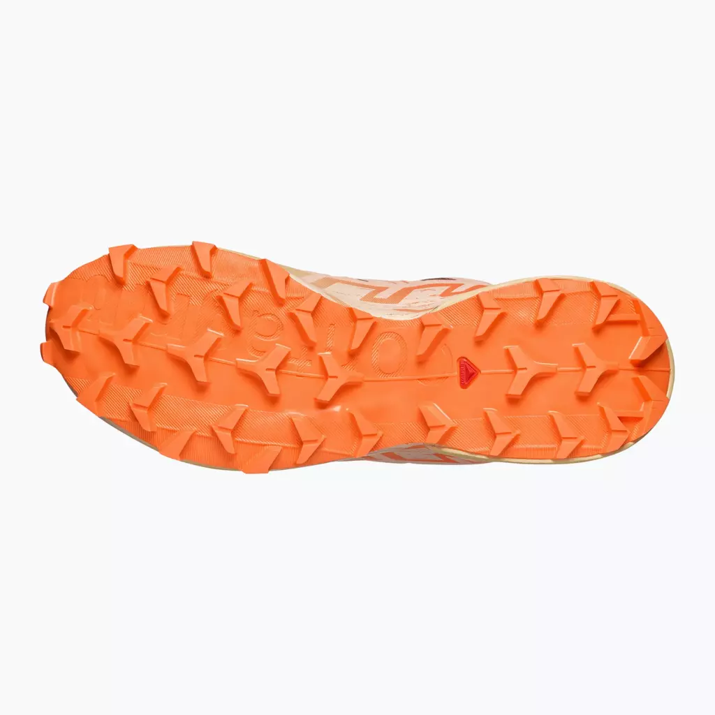 Женские Кроссовки для бега Salomon Speedcross 6 burro/sunny lime/almond cream