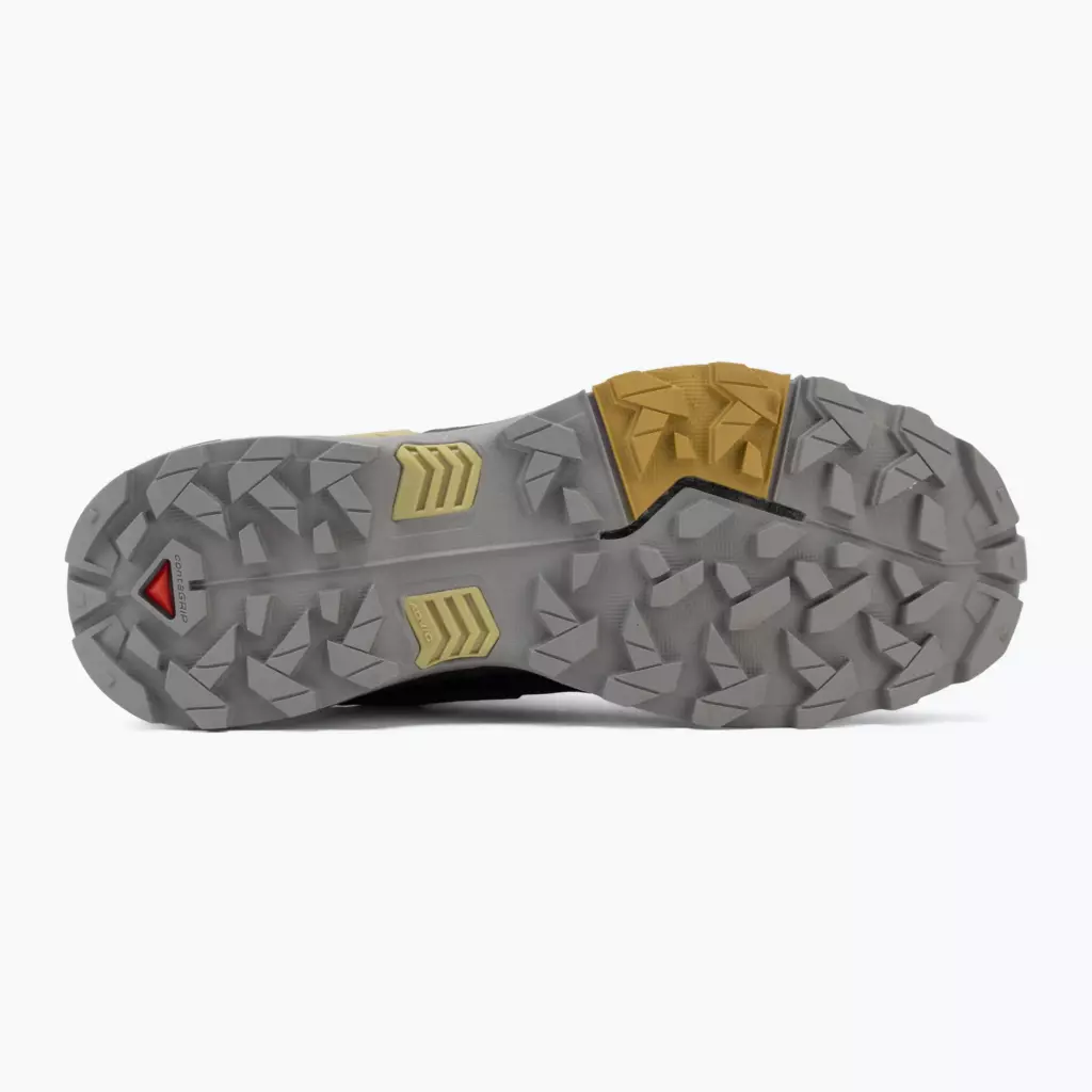 Женские Кроссовки для бега Salomon XA Pro 3D V9 iron/shadow gray/huckleberry