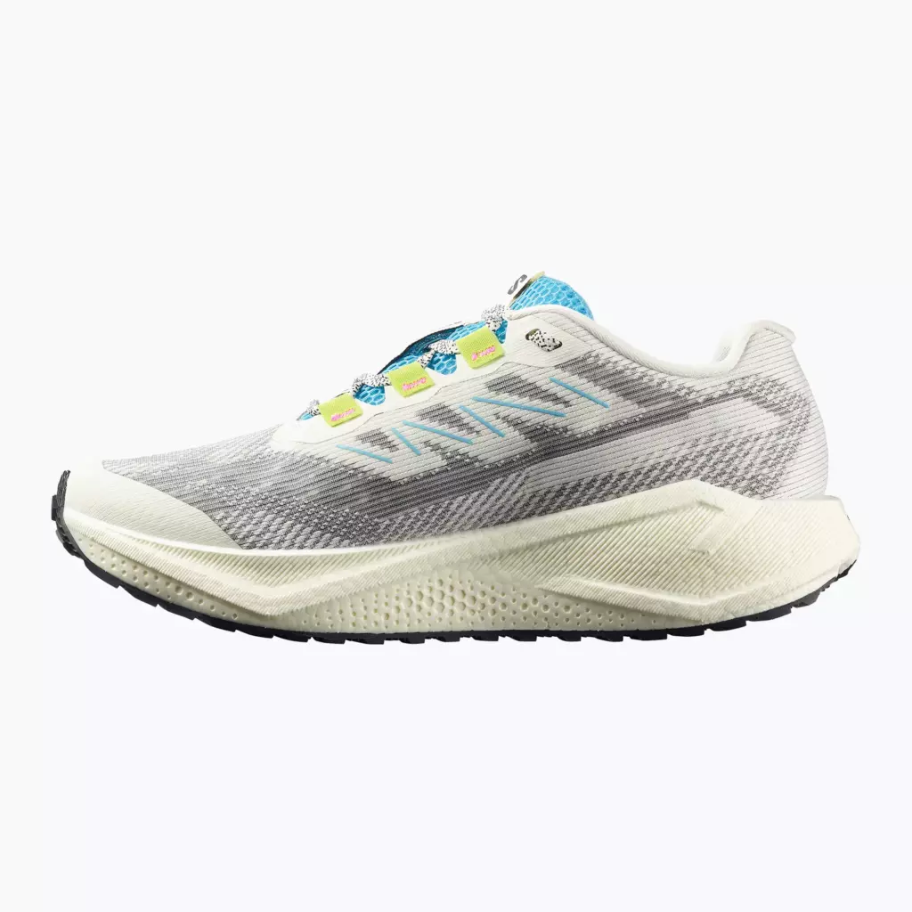 Кроссовки для бега Salomon Aero Blaze 3 GRVL vanilla ice/ojos del salar/black