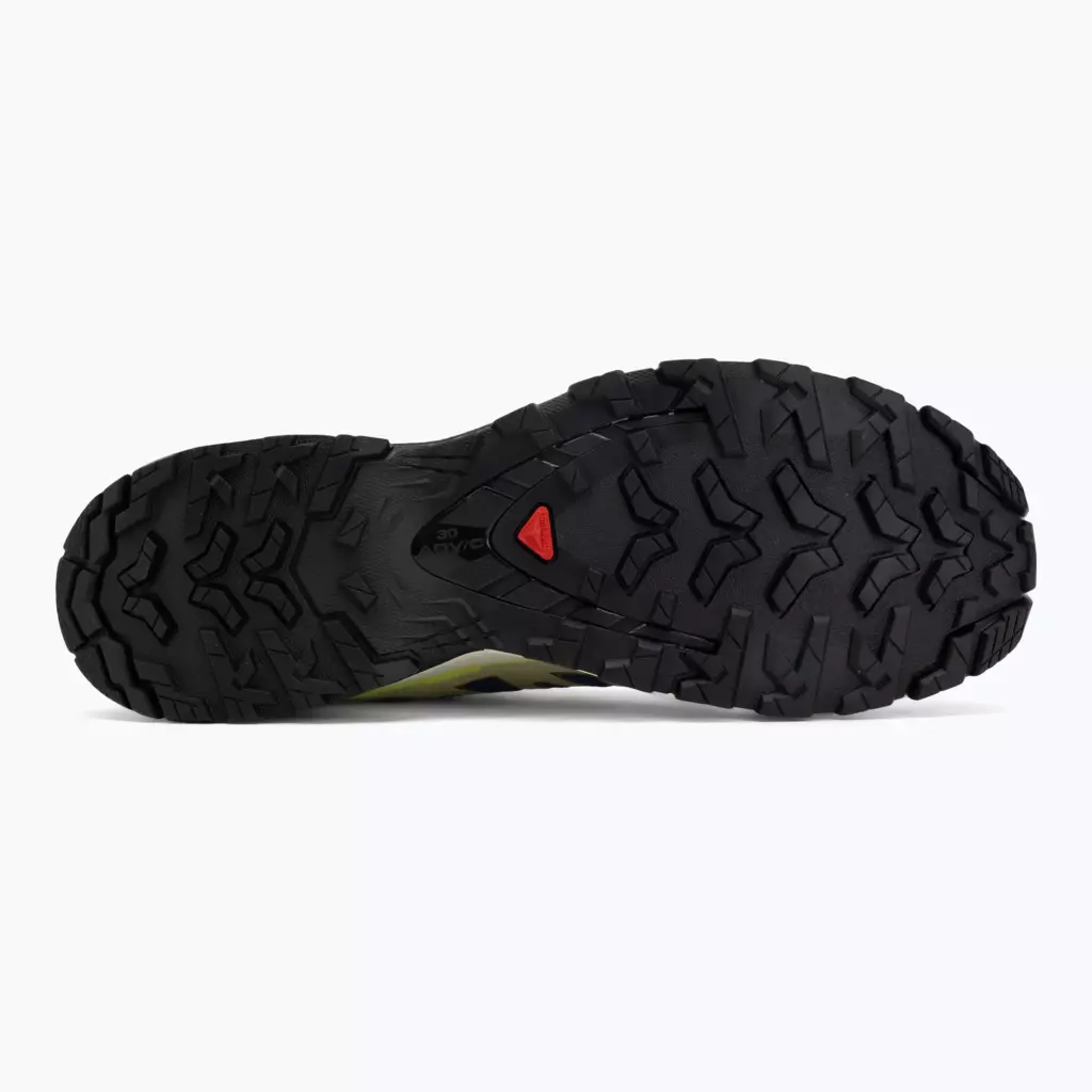 Кроссовки для бега Salomon XA Pro 3D V9 bluing/bog/acid lime