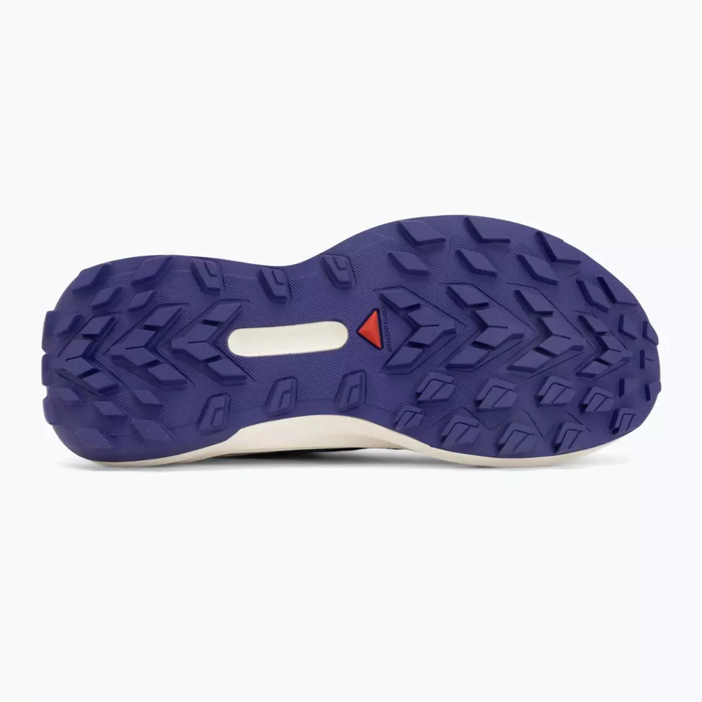 Женские Кроссовки для бега Salomon Genesis brunnera blue/persian jewel/deep blue
