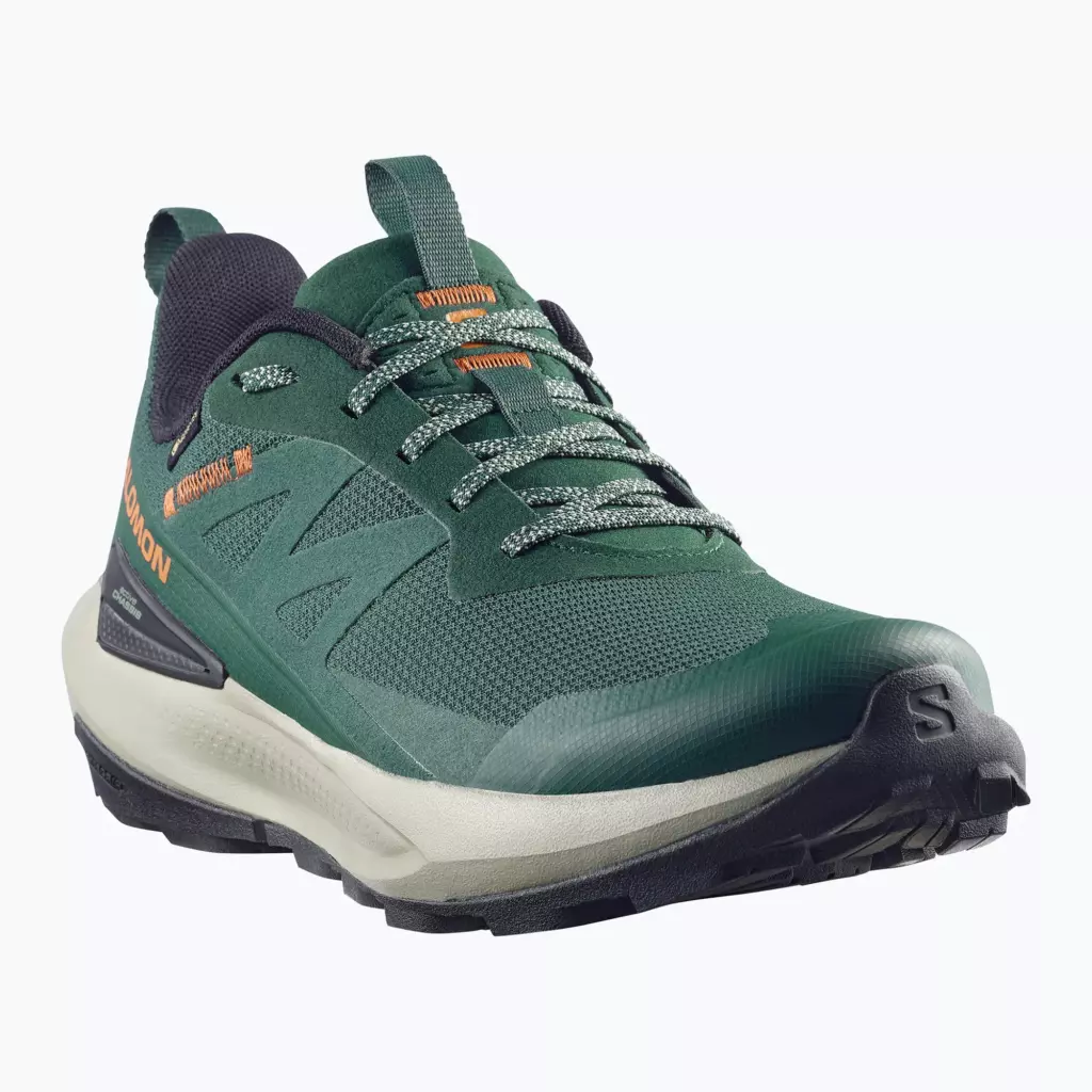 Ботинки Salomon Elixir Activ GTX scarab/green gable