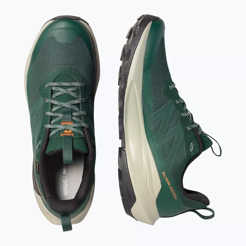 Ботинки Salomon Elixir Activ GTX scarab/green gable