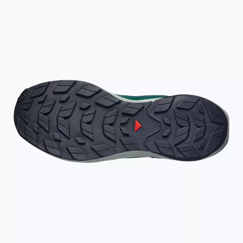 Ботинки Salomon Elixir Activ GTX scarab/green gable