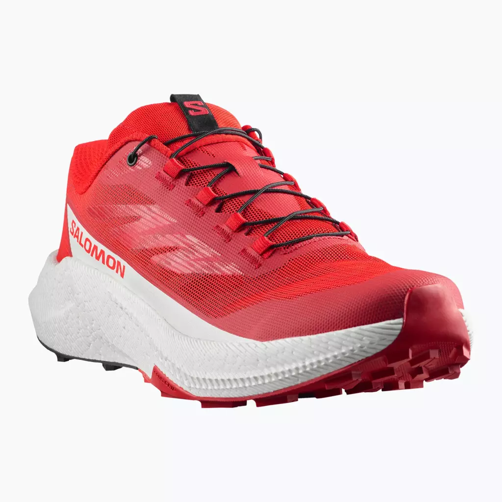 Кроссовки для бега Salomon Pulsar black/white/cherry tomato