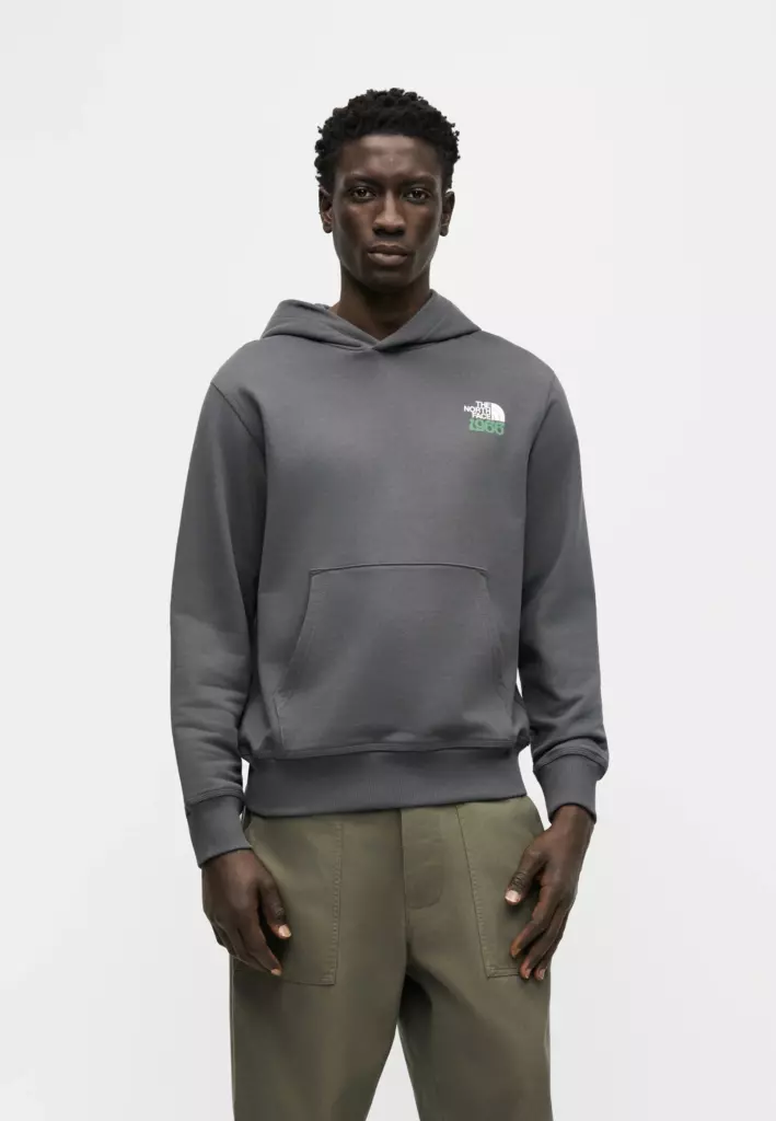 Худи The North Face - anthracite grey