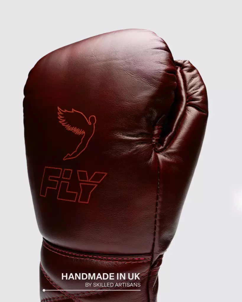 Боксёрские перчатки Fly Halcyon 2