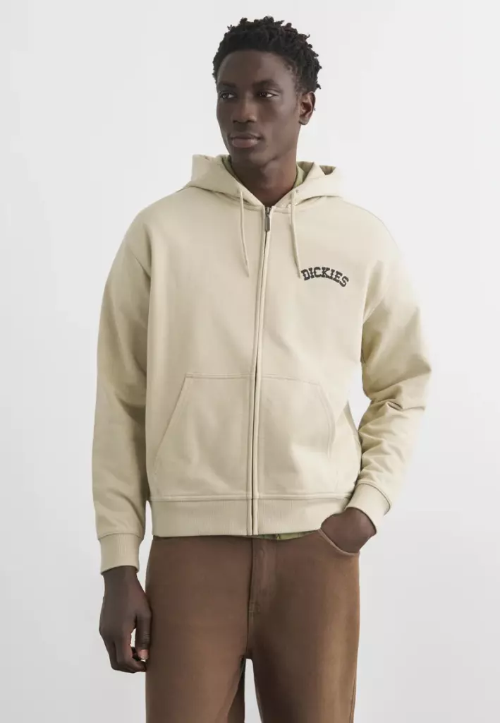 Худи Dickies BETTSVILLE - eucalyptus