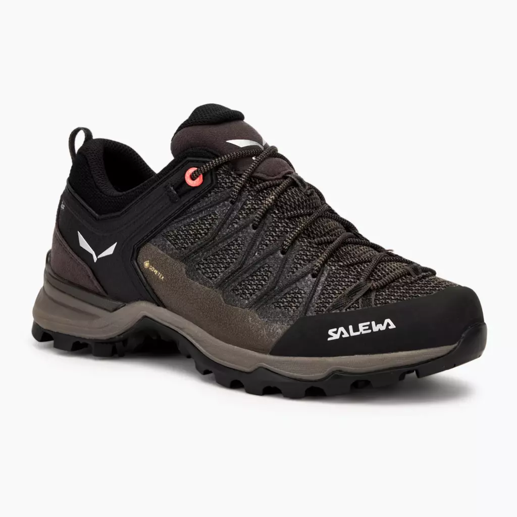Женские Ботинки Salewa MTN Trainer Lite GTX wallnut/fluo coral