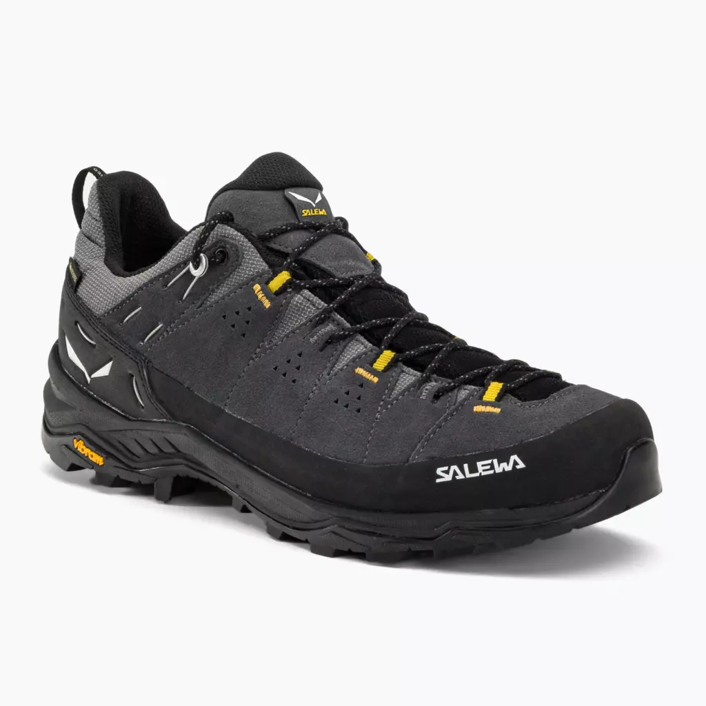 Ботинки Salewa Alp Trainer 2 GTX onyx/black