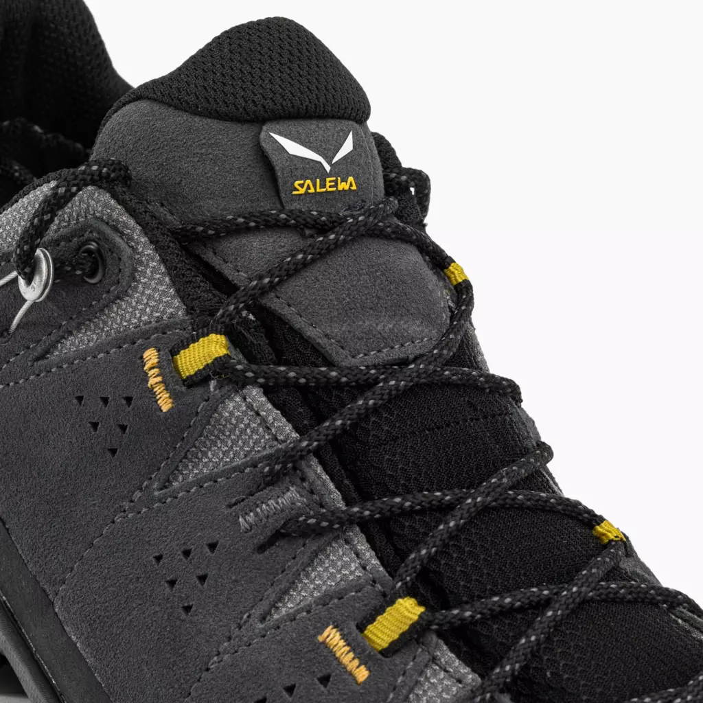 Ботинки Salewa Alp Trainer 2 GTX onyx/black