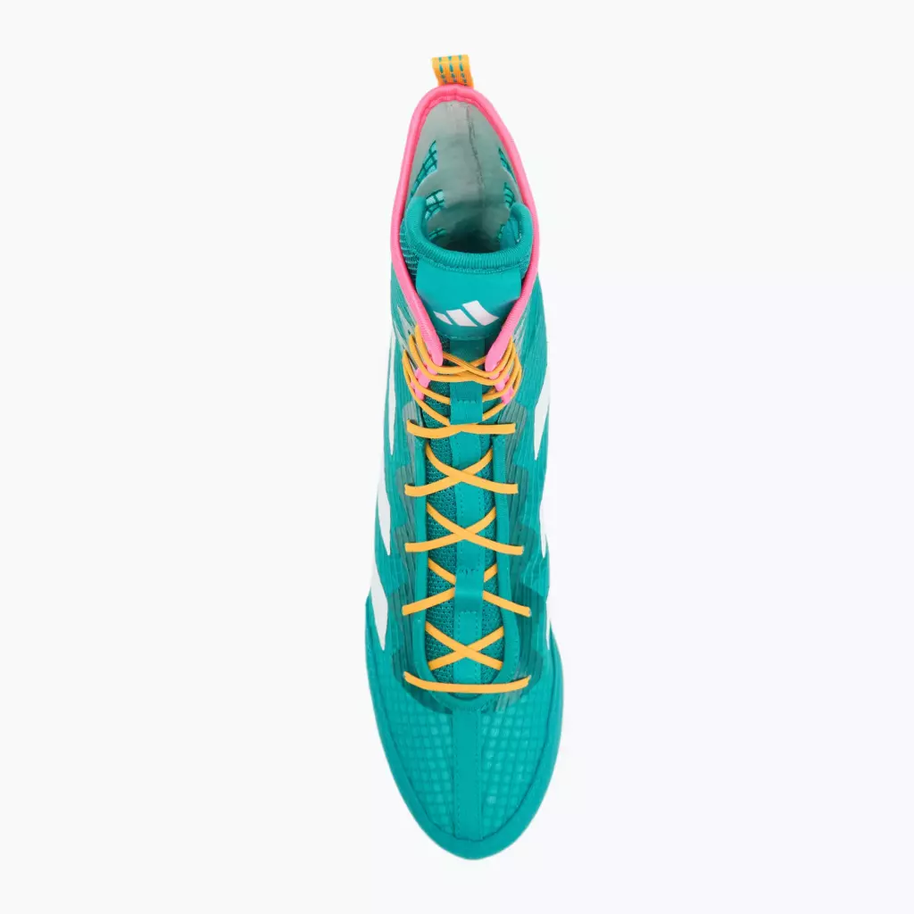 Боксёрки Adidas Box Hog 4 turquise