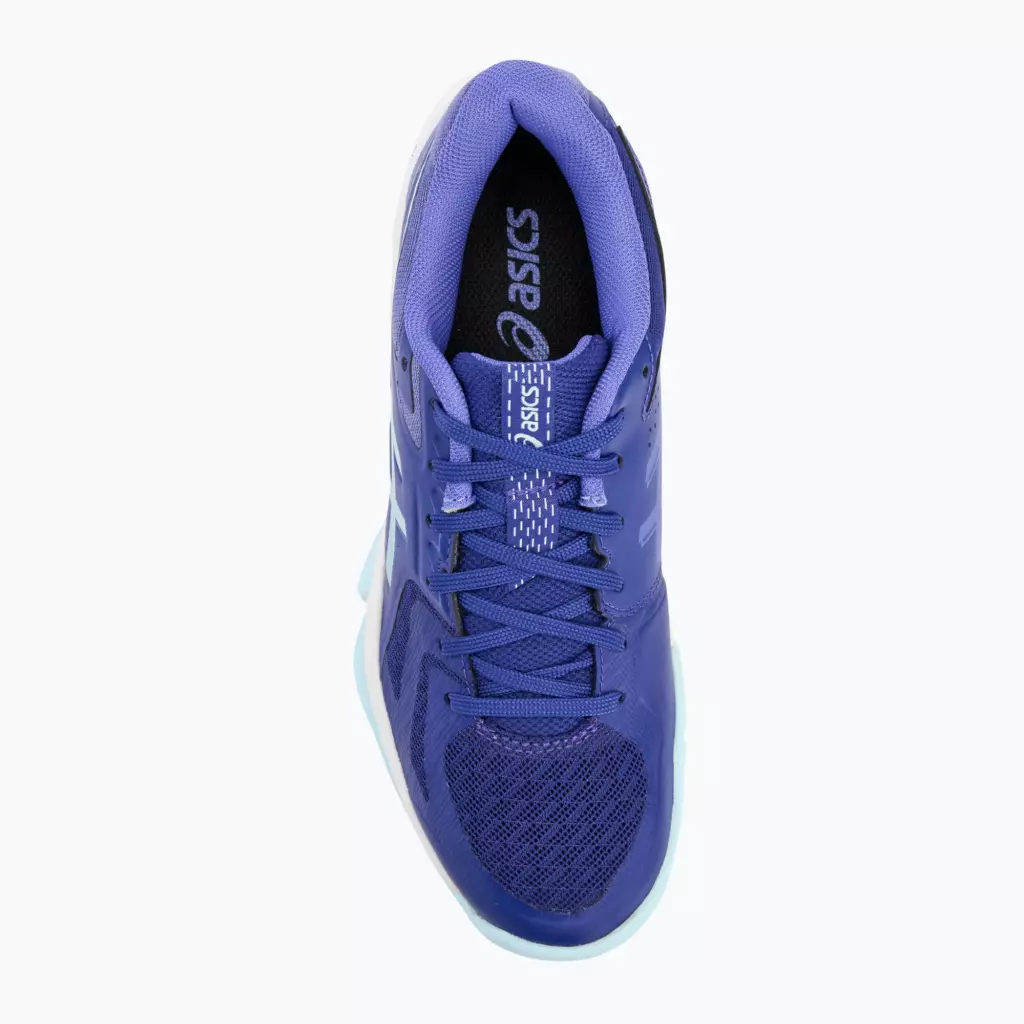 Кроссовки волейбольные ASICS Blade FF eggplant/aquamarine