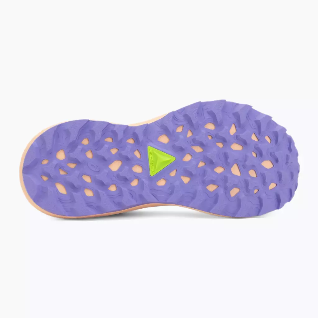 Женские Кроссовки для бега ASICS Trabuco Terra 3 black/amethyst