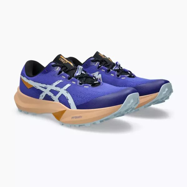 Кроссовки для бега ASICS Fuji Lite 6 cobalt burst/cool grey