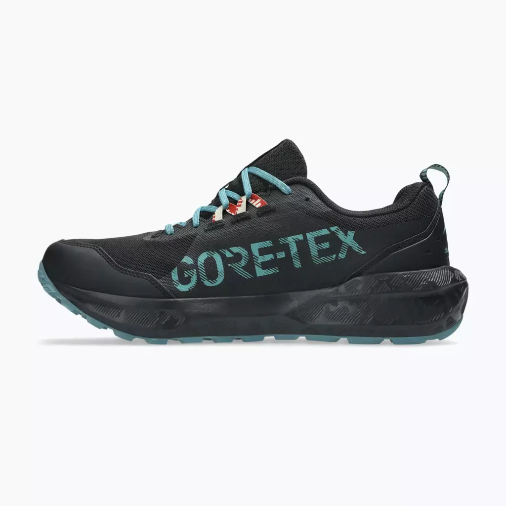 Кроссовки для бега ASICS Gel-Sonoma 8 GTX black/spice latte