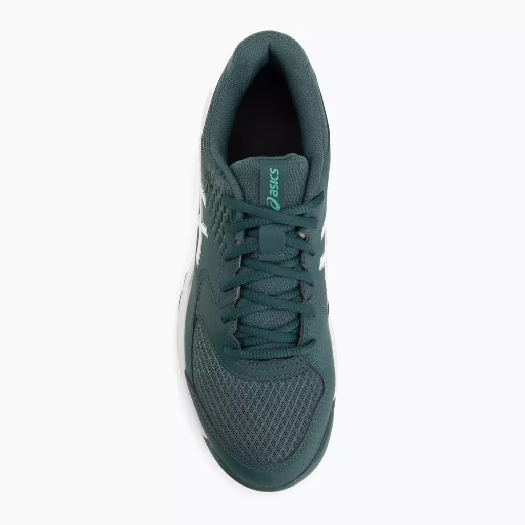 Теннисные Кроссовки ASICS Gel-Dedicate 8 Clay dark neptune/white