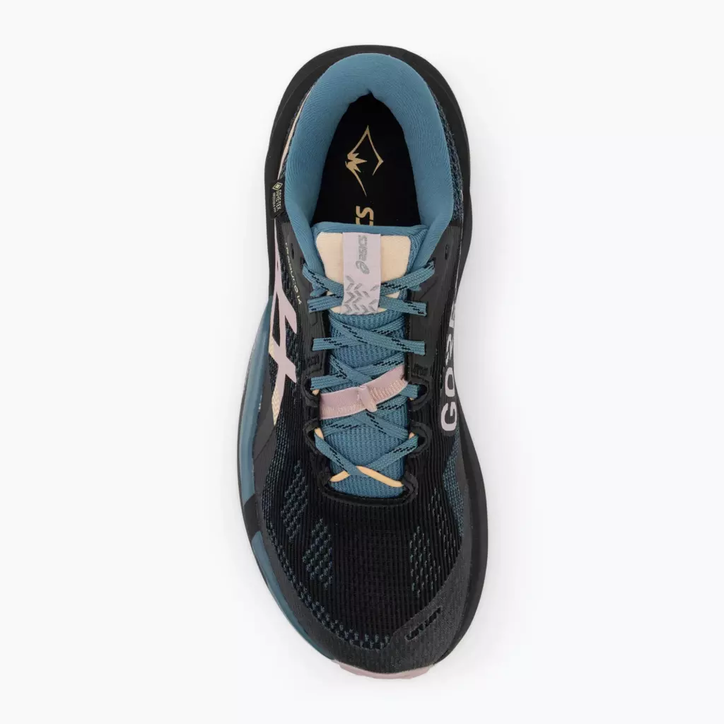 Женские Кроссовки для бега ASICS Trabuco 14 GTX black/morganite