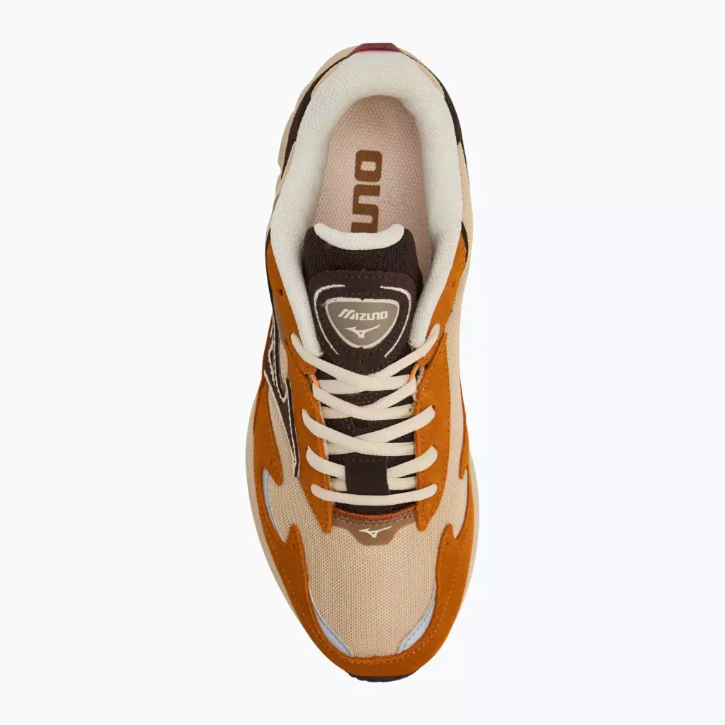 Mizuno Wave Rider mojave desert/chicory coffee/pumpkin spice
