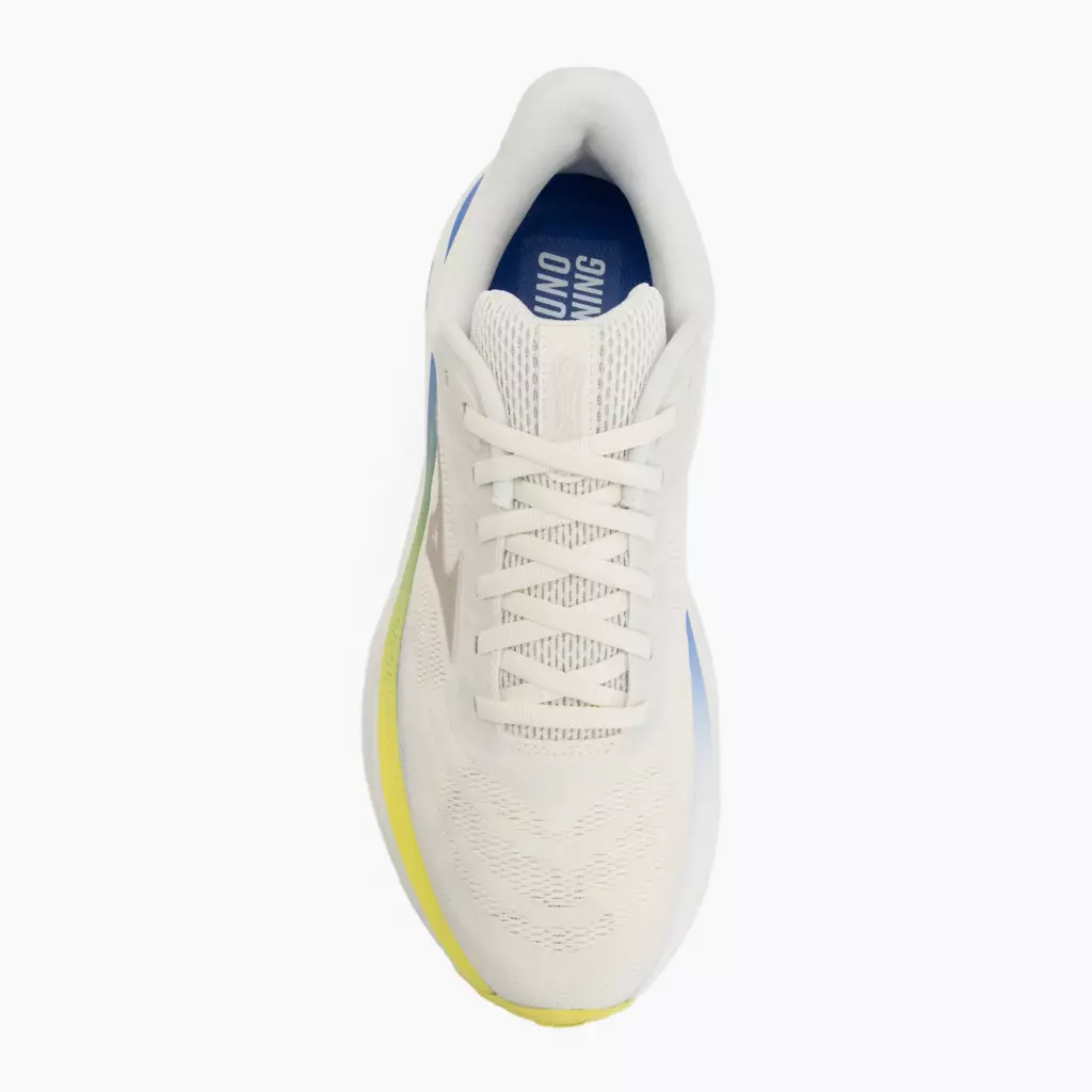 Женские Кроссовки для бега Mizuno Wave Sky 9 snow white/silver birch/ultramarine