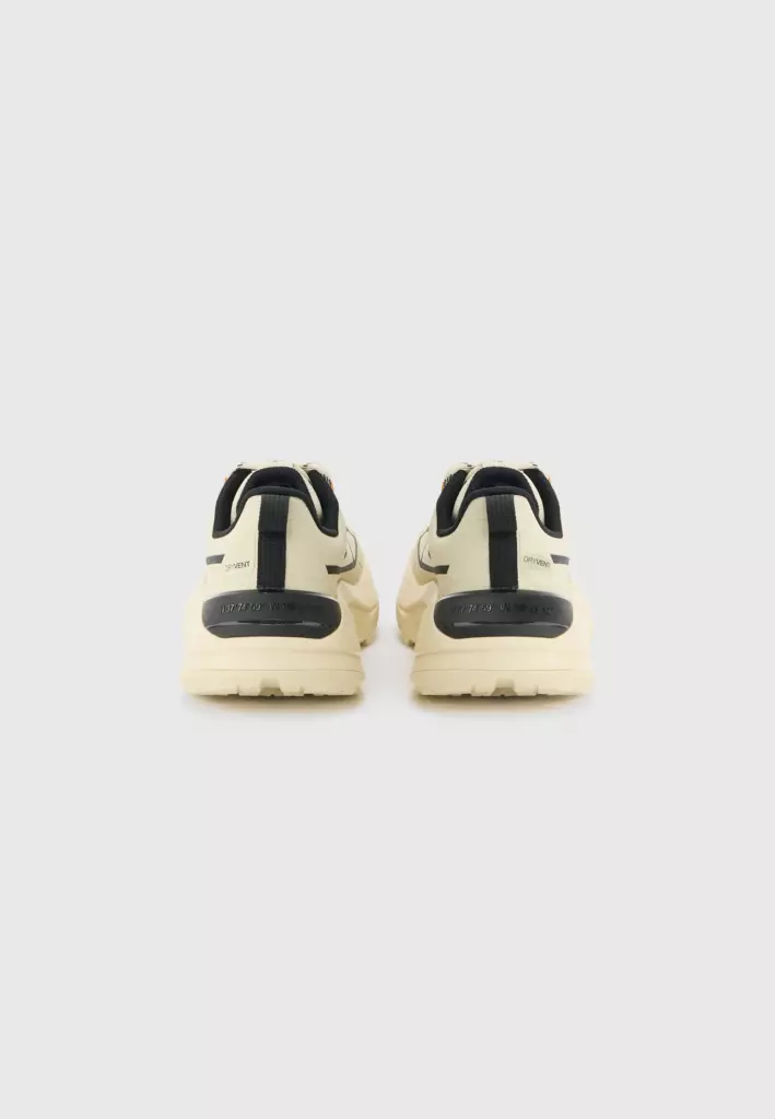 Кроссовки The North Face FASTPACK desert stone/black