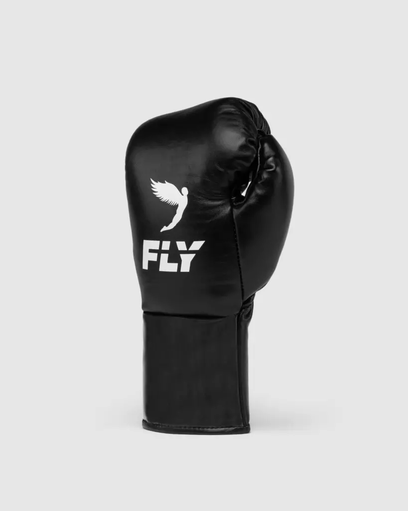 Боксёрские перчатки Fly Halcyon - black