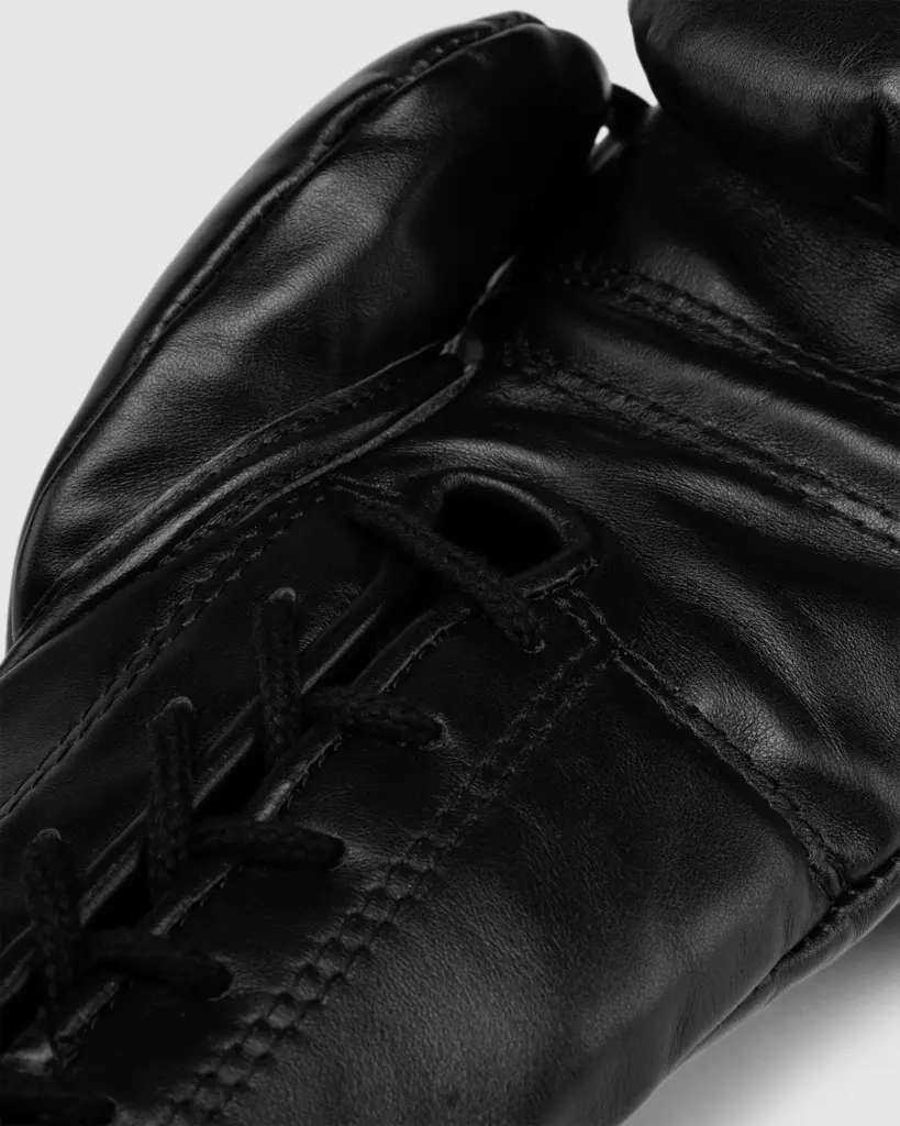 Боксёрские перчатки Fly Halcyon - black