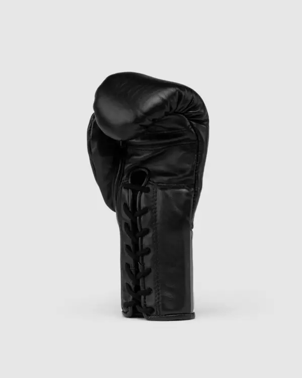 Боксёрские перчатки Fly Halcyon - black