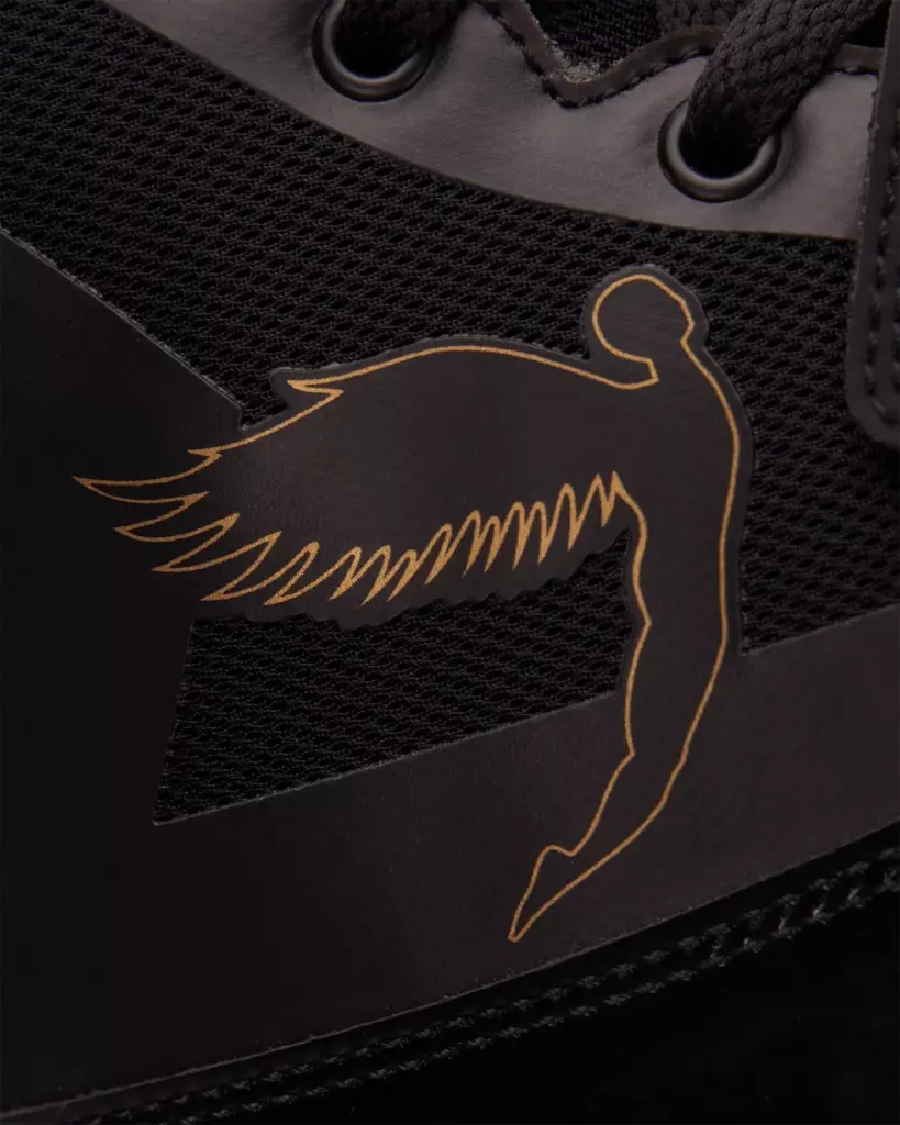 Боксёрки Fly Storm BOOTS Black & Gold